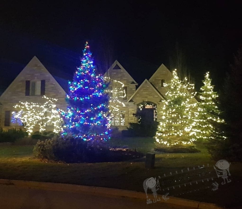 House and trees decorated with Christmas lights