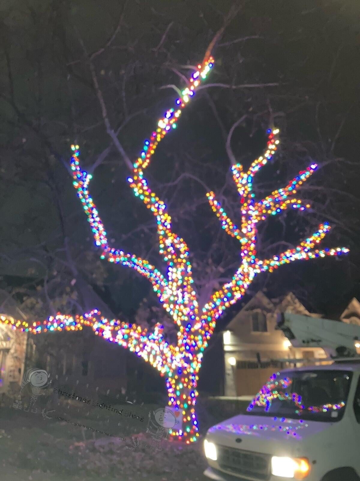 Tree decorated with multicolor festive lights