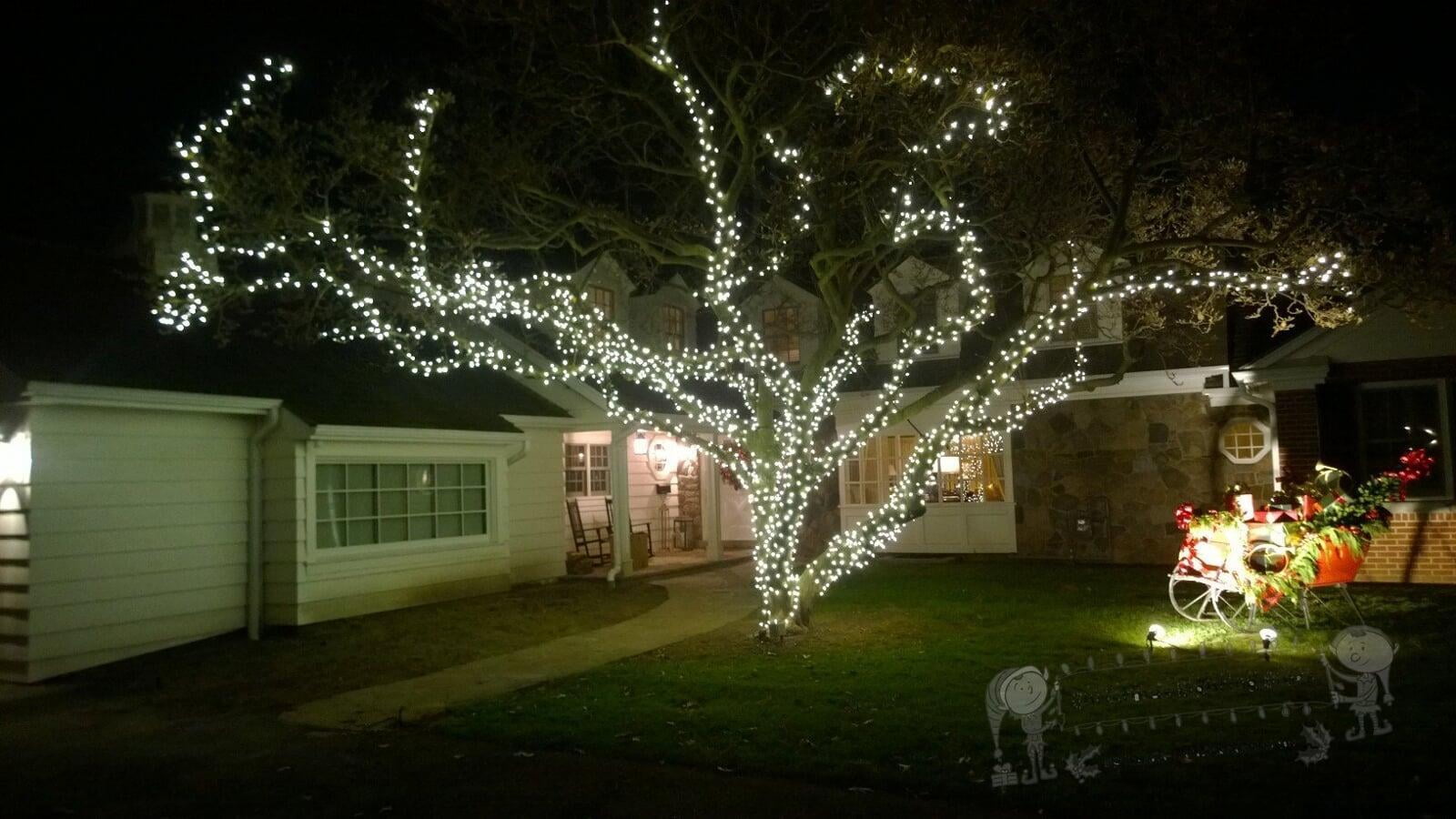 Tree lighted with LED